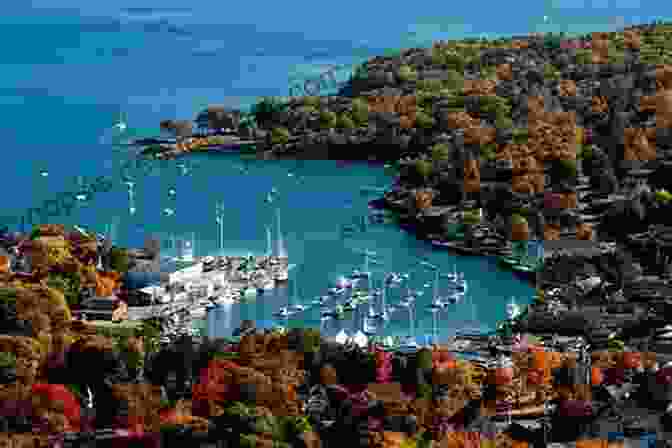 A Picturesque View Of Fox Crossing, Maine, With Its Quaint Houses And Lush Landscapes Crazy Like A Fox (A Fox Crossing Maine Novel 2)