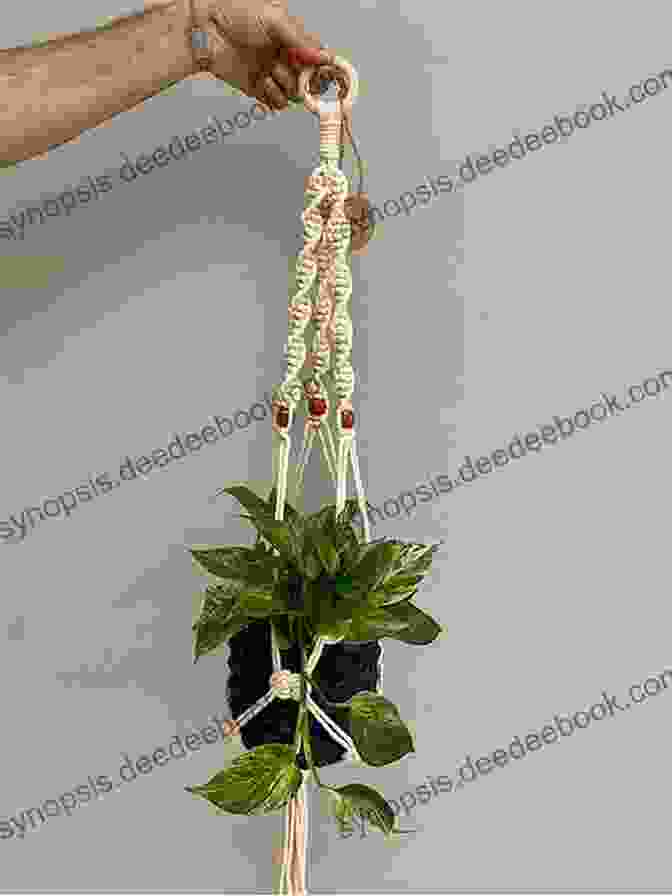 Image Of A Macrame Plant Hanger With A Trailing Plant Miniature Quits: 12 Tiny Projects That Make A Big Impression