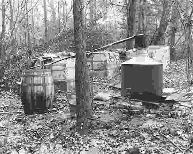 Image Of A Moonshine Still Hidden In The Woods, Surrounded By Moonshiners Rum Runners And Moonshiners Of Old Florida
