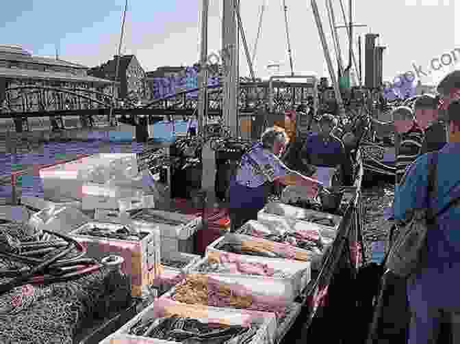 St. Pauli Fish Market, Hamburg Hamburg Travel Highlights: Best Attractions Experiences
