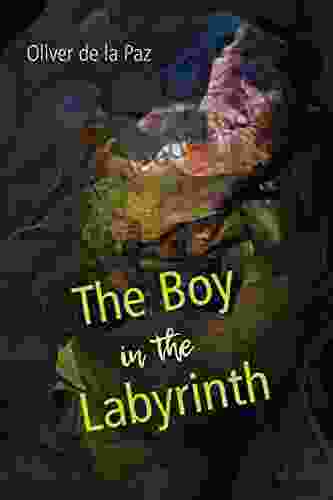 The Boy In The Labyrinth: Poems (Akron In Poetry)