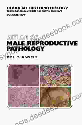 Atlas Of Male Reproductive Pathology (Current Histopathology 10)