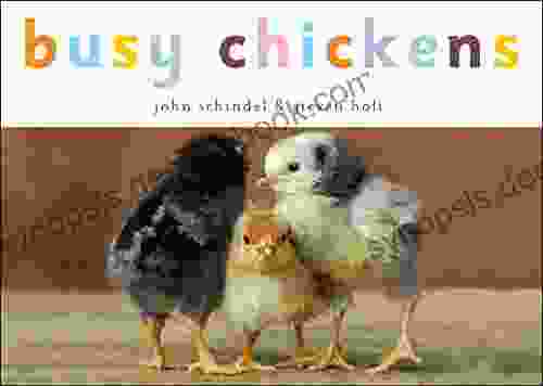 Busy Chickens (A Busy Book)