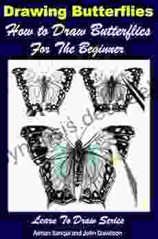 Drawing Butterflies How To Draw Butterflies For The Beginner (Learn To Draw 45)