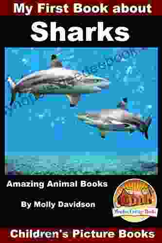My First About Sharks Amazing Animal Children S Picture