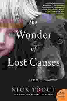 The Wonder Of Lost Causes: A Novel