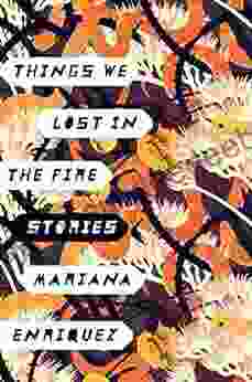 Things We Lost In The Fire: Stories